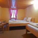 Wellness Stonozka