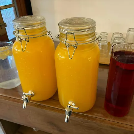 Wellness Stonozka Vendégház Ludvíkov